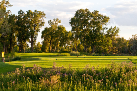 Golf Courses