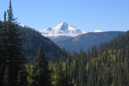 Rio Grande National Forest